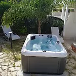 Palms