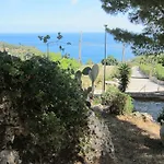 Palms