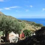 Palms Scopello (Sicily)