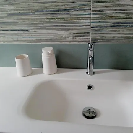 Palms سكوبيلو