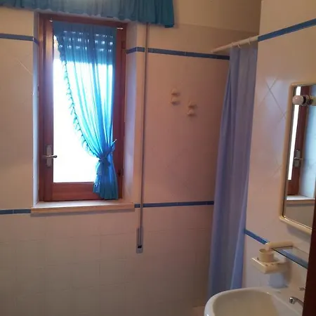 Palms Scopello (Sicily)