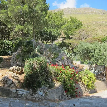 فيلة Palms