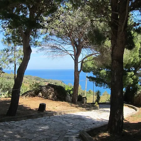 Villa Palms Scopello (Sicily)