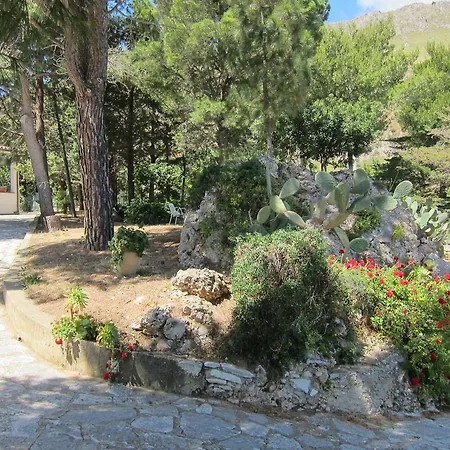 فيلة Palms