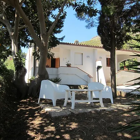 Palms Scopello (Sicily)