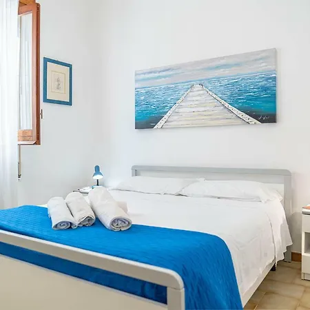 Palms سكوبيلو