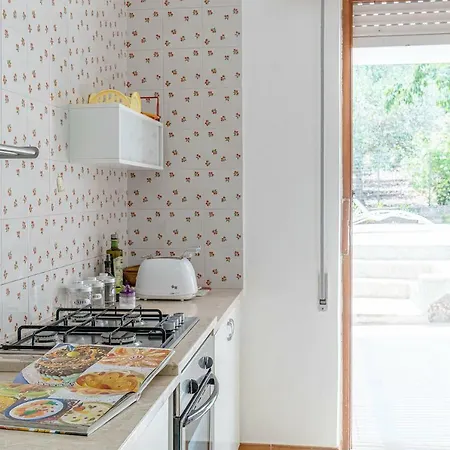 Palms Scopello (Sicily)