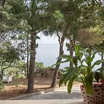 Palms Scopello (Sicily)