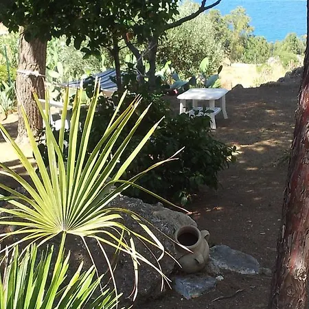 Villa Palms Scopello (Sicily)