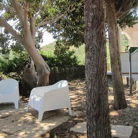 Palms Scopello (Sicily)