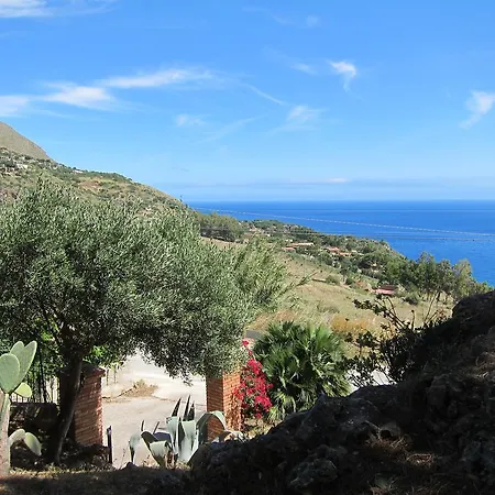Palms Scopello (Sicily)