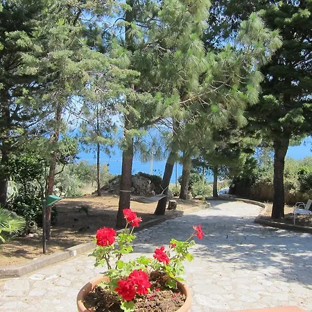 Villa Palms *