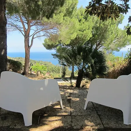 Villa Palms *