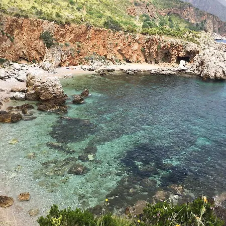 Palms * Scopello (Sicily)