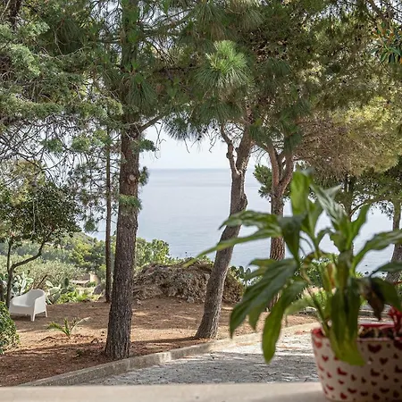 Palms Scopello (Sicily)