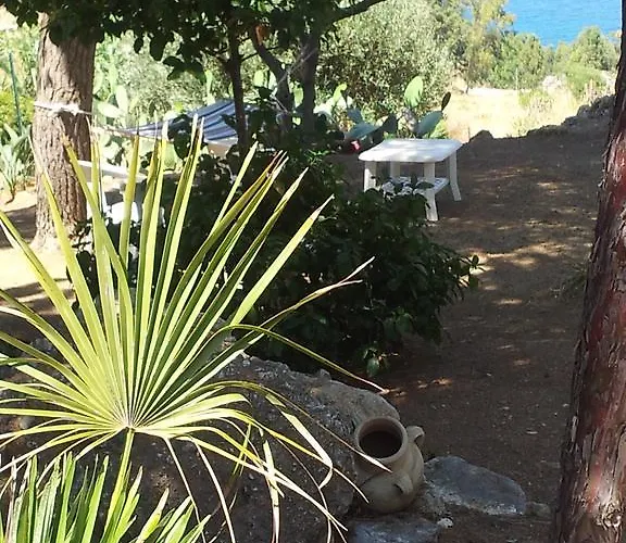 Villa Palms Scopello (Sicily)