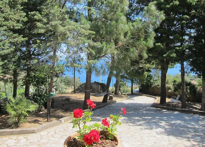 Villa Palms *